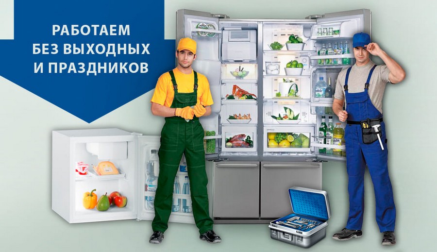 Ремонт холодильников Бирюса